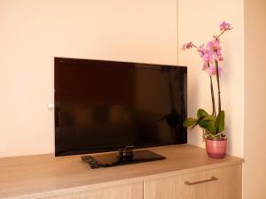 Flora Inn, Super Sweet Studio - Centro