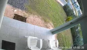 Island Gem - Williamsfield