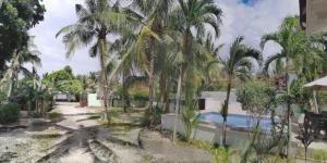 Avilas Hostel Moalboal near Beach