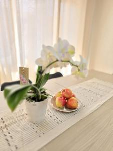 Aureum Loft