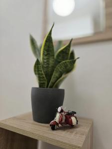 Aureum Loft
