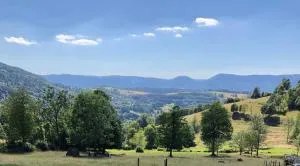 Chalet DU MERLE - NEUF 5 ETOILES-CHAMP DU FEU - 维尔德巴赫