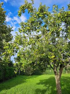 Maisons de vacances La Maison des Saveurs : Maison 3 Chambres
