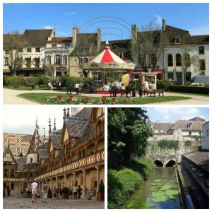 Appartements Datcha Bourguignonne Beaune : photos des chambres