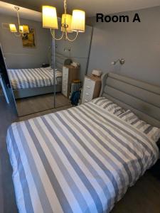 Dublin City Centre - Tourists and Professionals