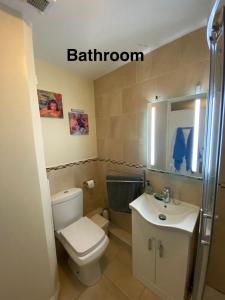 Dublin City Centre - Tourists and Professionals