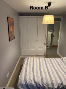 Dublin City Centre - Tourists and Professionals