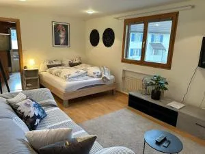 Wohnung in zentraler und trotzdem ruhiger Lage, Balzers - Weite