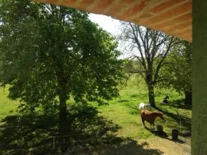 écrin de nature - Fronton