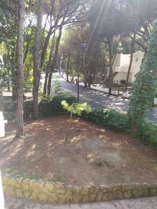 Holiday home in Rosolina Mare 25059