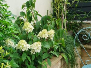 Appart'hotels VILLA VOLTAIRE : photos des chambres
