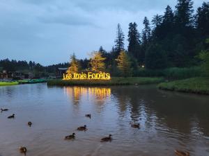 Maisons de vacances Hakuna Matata domaine des 3 forets-PMR-6 personnes sauna balneo : photos des chambres