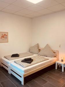 Cityapartment