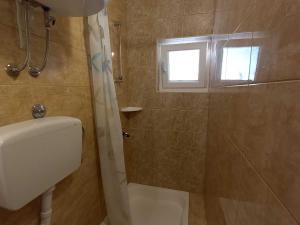 Apartments Vinko Mljet- One-Bedroom Apartment with Terrace A4