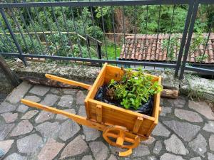 Villa Allegra Apartments in The Nature