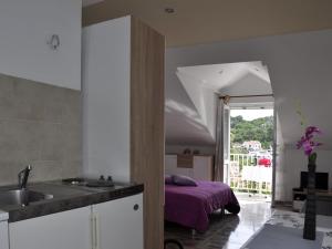 Apartment Danijela Mljet - Studio Apartment with Balcony and Sea View 