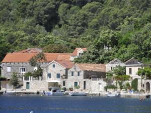 Apartment Danijela Mljet - Studio Apartment with Balcony and Sea View