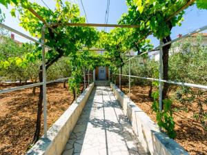 Apartments Ivana TR -Studio with Terrace A2