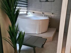 Wellness Apartments - Studio Apartment with Terrace G3