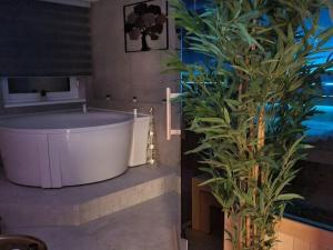 Wellness Apartments - Studio Apartment with Terrace G3