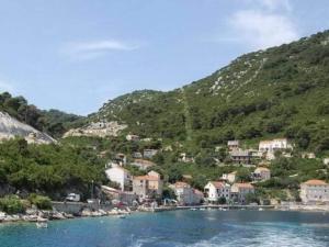 Apartments Laura Mljet - Comfort One Bedroom Apartment with Balcony and Sea View