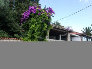 Villa Mirjana - Standard Studio Apartment with Terrace and Sea View Lavanda