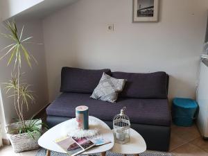 Apartments Villa Bell Memories- Studio Apartment with Terrace and Street View A1