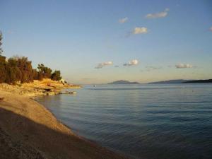 Apartments Dobrila - One Bedroom Apartment with Terrace - A1