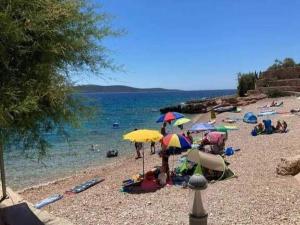 Apartments Dobrila - One Bedroom Apartment with Terrace - A1