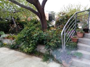 2 bedroom apartment with terrace