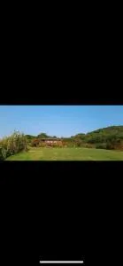 Sunny Corner Farm - Bugle