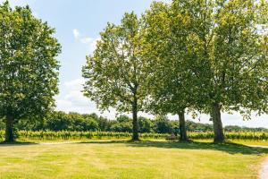 Maisons d'hotes Domaine de Canteloup au coeur des vignes avec piscine : photos des chambres