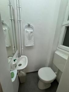 Airy & Beautiful Downtown Apartment