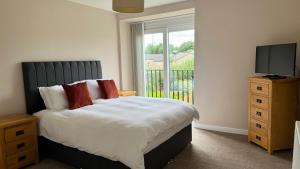 19 Snowdon Apartment