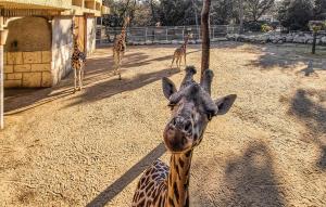 Campings Stunning Stacaravan : photos des chambres