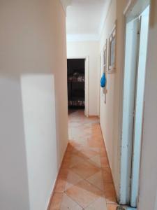 Alexandria Hostel هوستل الاسكندرية