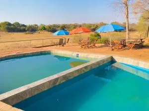 Hippo Paradise Lodge and Campsites - Makufuneti