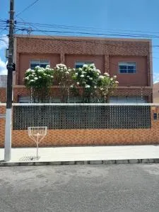 Paz, Sossego e Felicidade! - Coqueiro Sêco