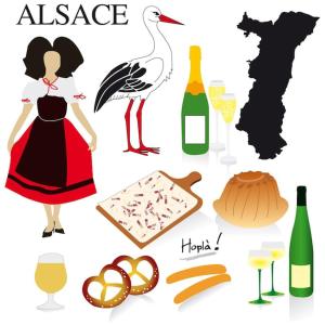 Gîte lOiseau du Paradis - Appartement moderne au cœur de lAlsace