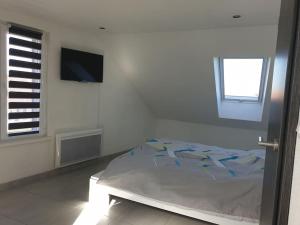 Appartements Gite l-Oiseau du Paradis - Appartement moderne au coeur de l-Alsace : photos des chambres