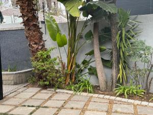 Sandton Drive - Frnch on 2nd