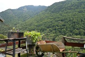 Maisons de vacances Pays De L-ours - Pyrenees : photos des chambres