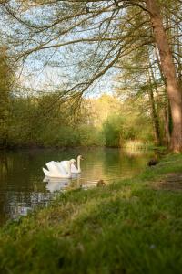 Maisons de vacances La maison de Crevecoeur : photos des chambres