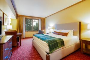 Huge 2 Connecting Rooms with Kitchen & Balcony