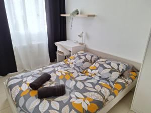 Appartements Lumineux et fonctionnel 6 personnes : photos des chambres