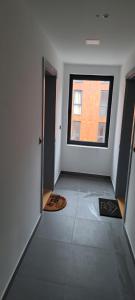 Kosmaj Renew - Sunset View