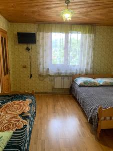 Аура Карпат