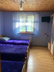 Аура Карпат