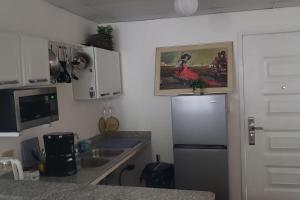 Cool Loft with King Bed Hot Tub 10 mins David 20 mins to Boquete