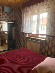 Аура Карпат